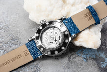 画像をギャラリービューアに読み込む, Undine-Abalone- NH35-515A757