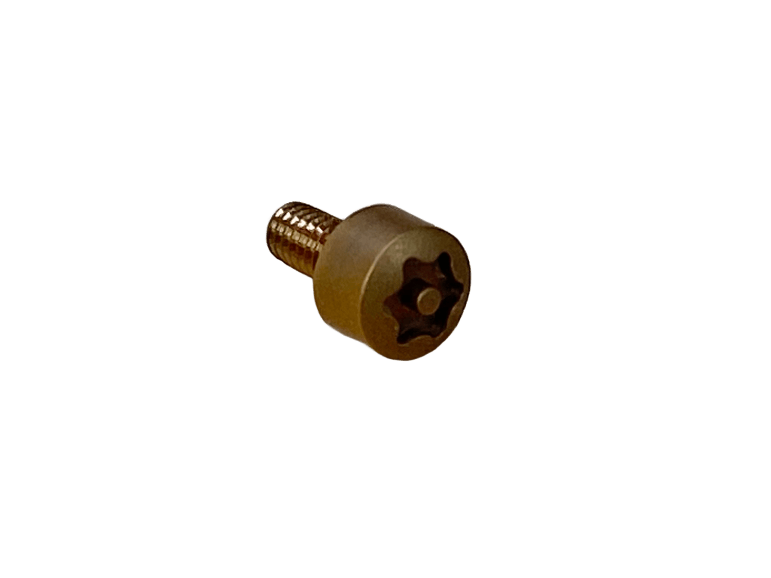 Anchar ネジ（Ref.VE.Anc.excsrew.Bronze）